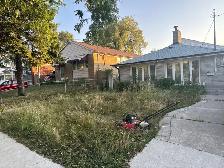 LANDSCAPING AND GARDEN MAINTENANCE SERVICE - Photo 4