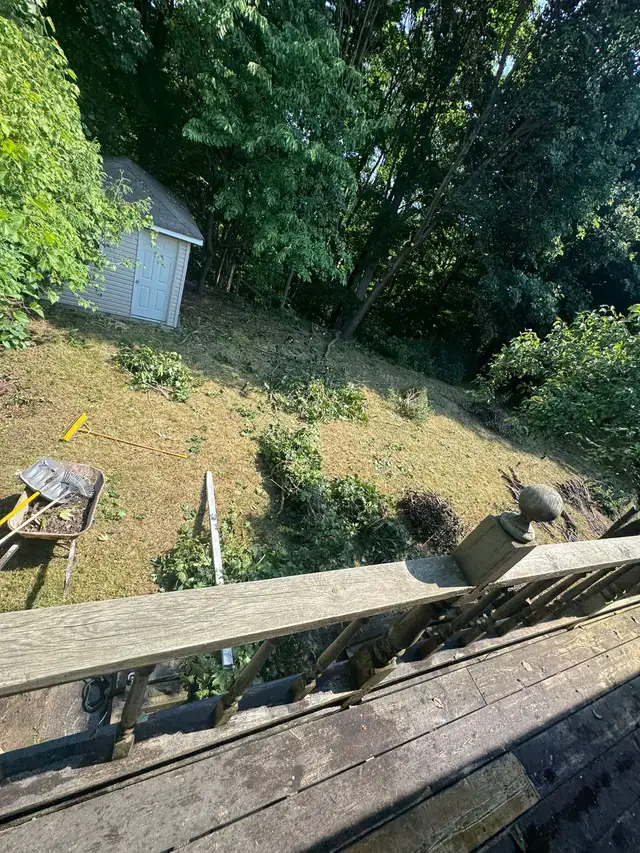 LANDSCAPING AND GARDEN MAINTENANCE SERVICE - Photo 6