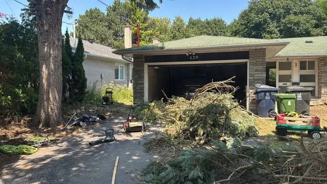 LANDSCAPING AND GARDEN MAINTENANCE SERVICE - Photo 11