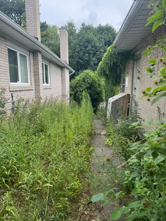 LANDSCAPING AND GARDEN MAINTENANCE SERVICE - Photo 12