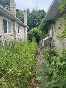 LANDSCAPING AND GARDEN MAINTENANCE SERVICE - Photo 12
