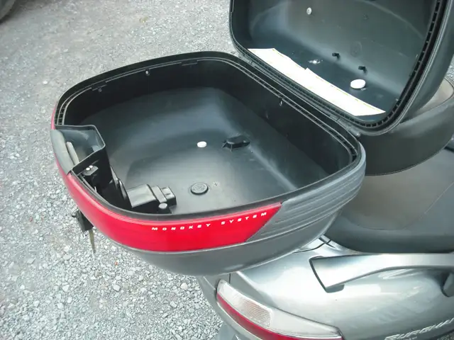 BRUGMAN SCOOTER SUZUKI 650 CC - Photo 10