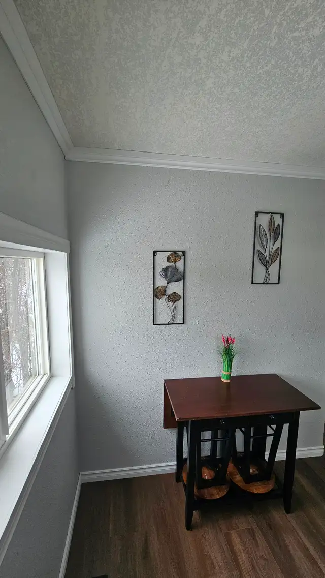 Mayerthorpe 1 bedroom house for rent - Photo 4