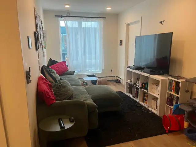 Bedroom for Lease in 5 Bedroom Apartment Near Dalhousie - Photo 2