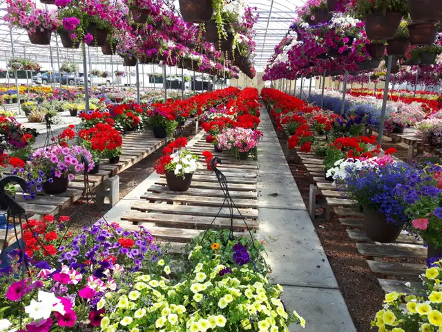 HELP WANTED - Photo 8