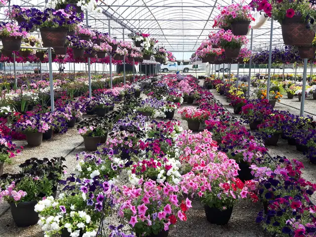 HELP WANTED - Photo 9