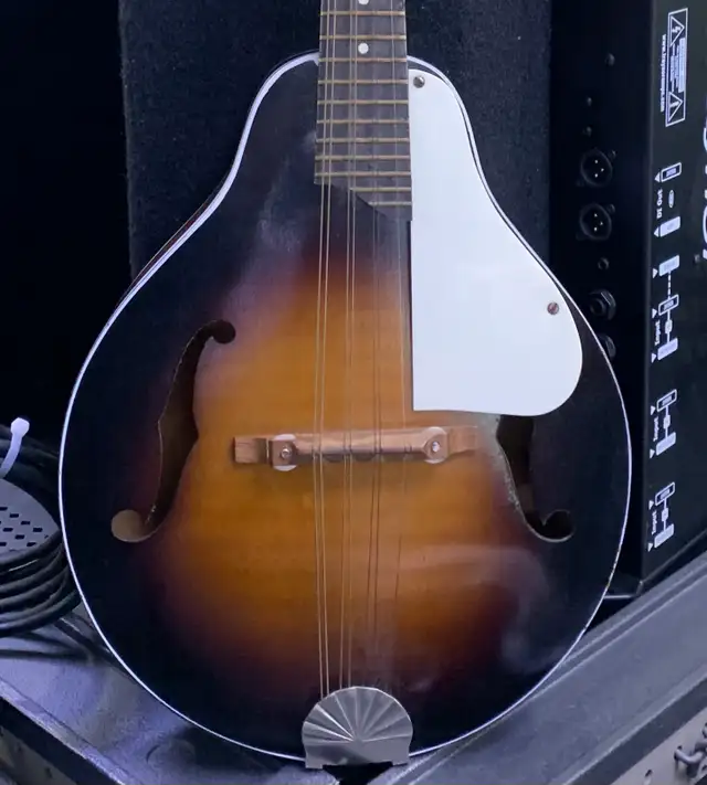 Kay Mandolin Vintage - Photo 2