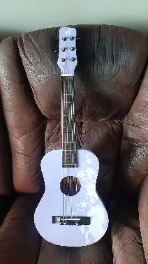 CAMPFIRE OR BEGINEERS GUITAR FOR SALE