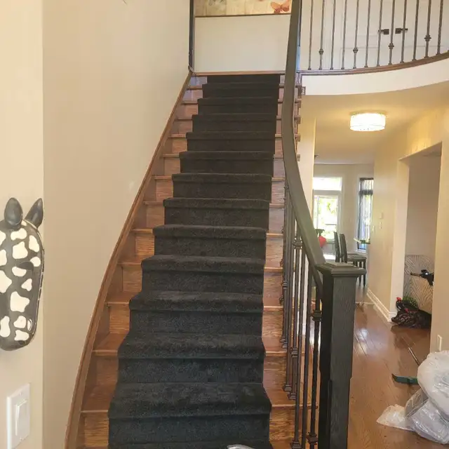 Carpet Installation Huge Competative Priceses!