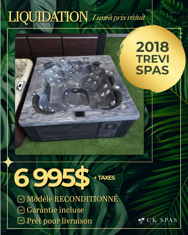 SPA TREVI EN LIQUIDATION
