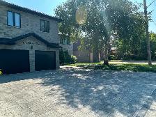 Large Basement Room at the intersection of Markham Rd& Kingston