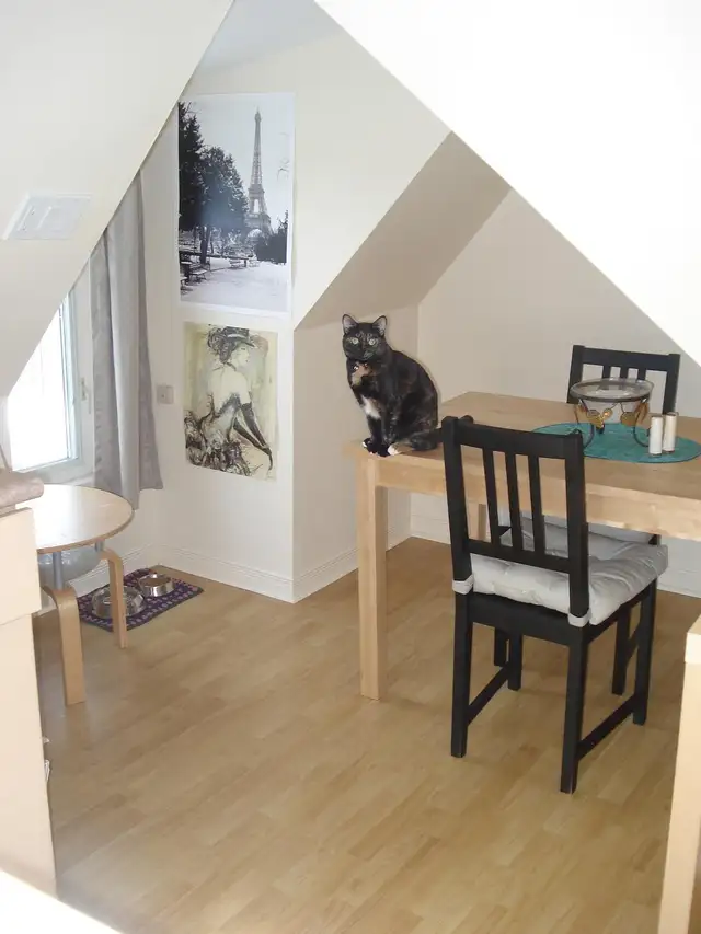 Cozy Attic Suite – Private & Squeaky Clean Loft! - Photo 3