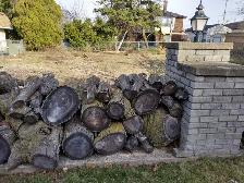 FIREWOOD (HONEY LOCUST)