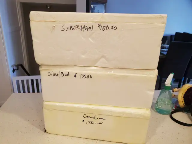 Neon signs - Photo 9