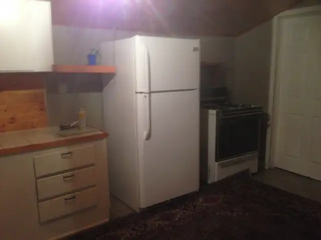 private room shared kitchen and two washroom with working males - Photo 3