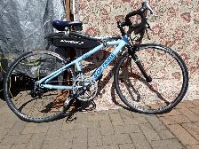 Softride 10 Speed Road Bike