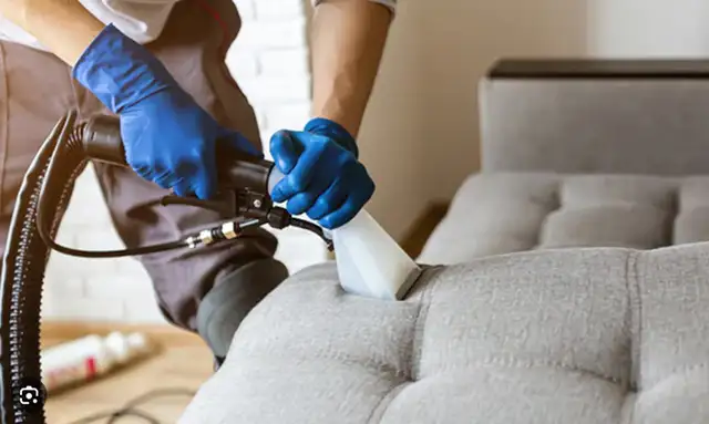 Sofa & Chair Reupholstery – Restore Comfort & Style - Photo 2