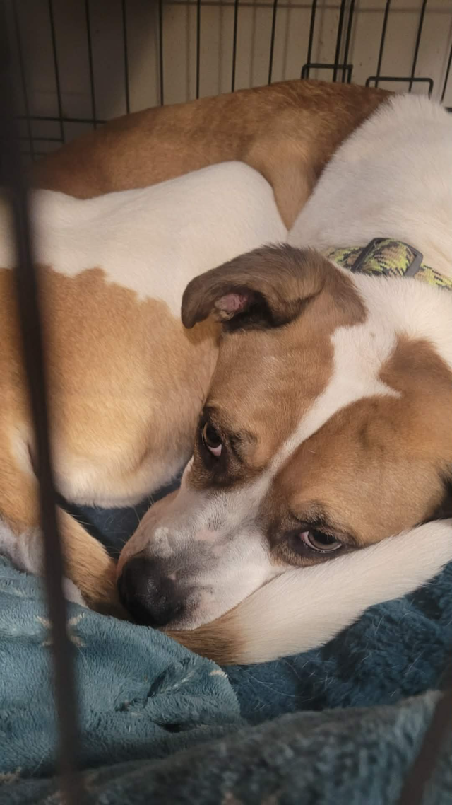 Looking for work and accommodation