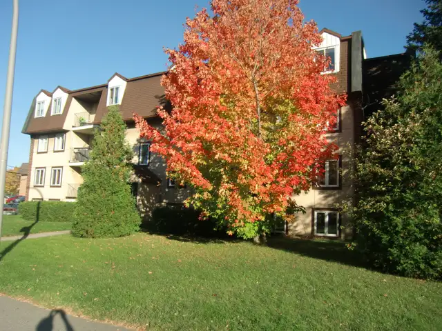 Grand 4 1/2  Champfleury Ste-Rose - Photo 8