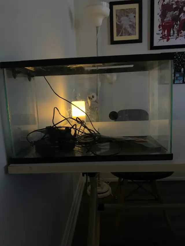 fish tanks five gallon each. New! - Photo 2