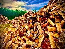 SEASONED FIREWOOD