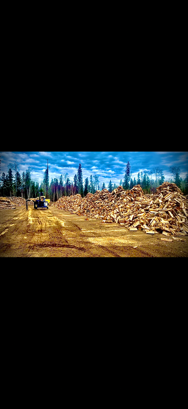 SEASONED FIREWOOD - Photo 2
