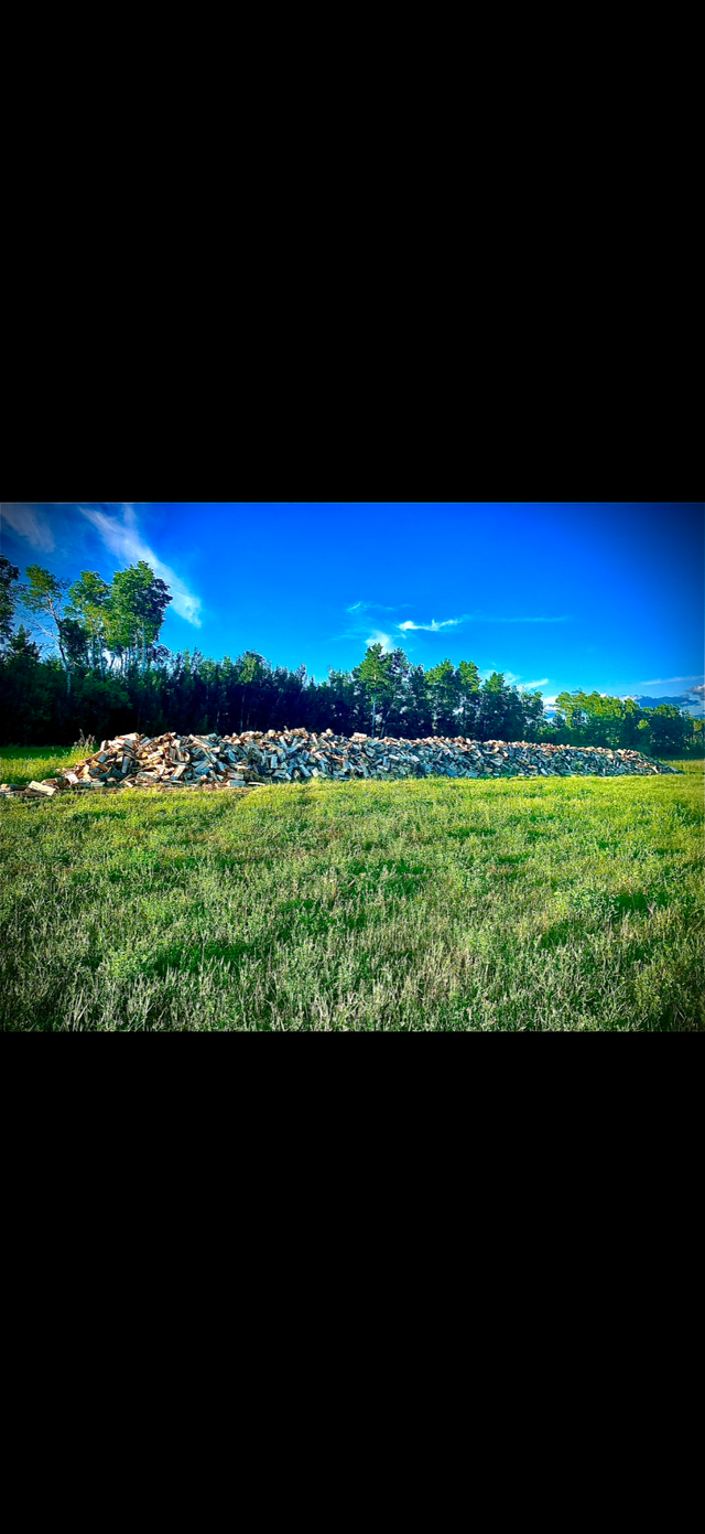 SEASONED FIREWOOD - Photo 3