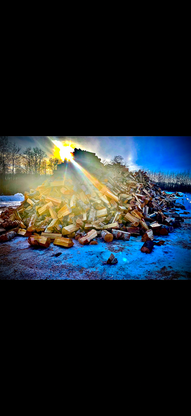SEASONED FIREWOOD - Photo 4