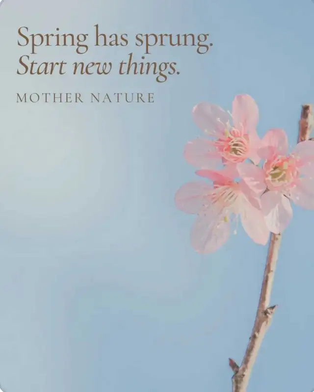 JUNK Removal, Furniture and appliance moving - Photo 2