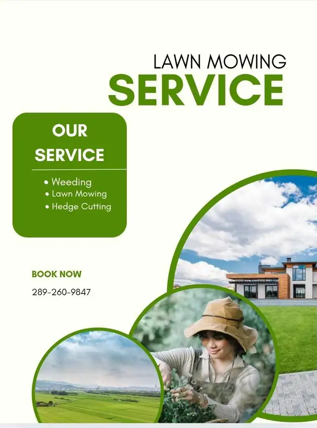 Lawn maintenance service