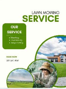 Lawn maintenance service