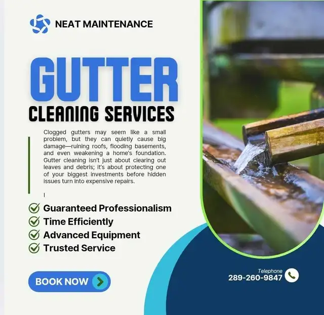 Lawn maintenance service - Photo 2