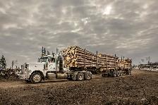 Truck and trailer mechanic