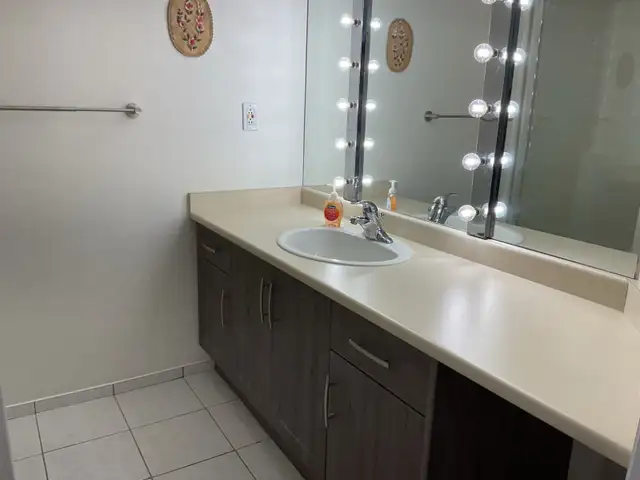 Luxury Living in Richmond: Recently Refreshed 2 Bed, 2 Bath - Photo 9