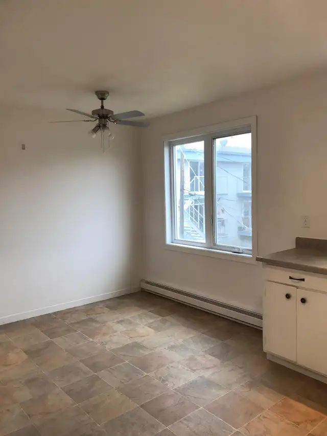 Beau grand 4 1/2, rue Vigie Lévis, juillet, - Photo 8