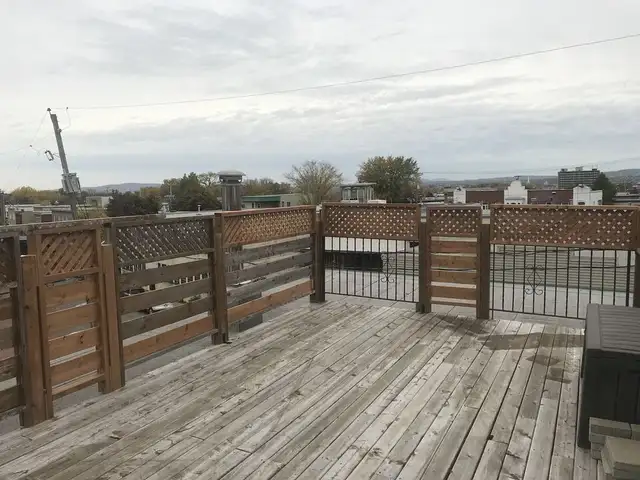 Magnifique Superbe 3 1/2 rue St-Bernard terrasse sur le toit ! - Photo 11