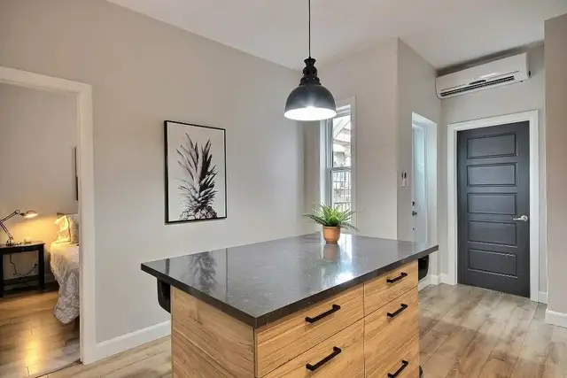 Superbe 4 1/2 Près Du Centre-Ville CLÉ EN MAIN - Photo 3