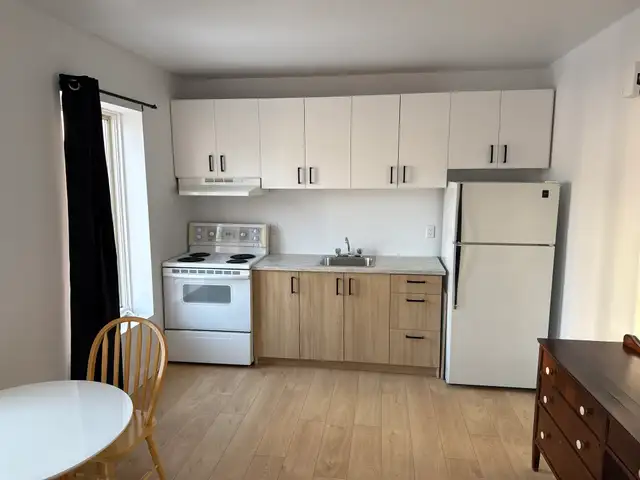 Beau grand studio, St-Roch Avril WIFI, salle de bain commune - Photo 2