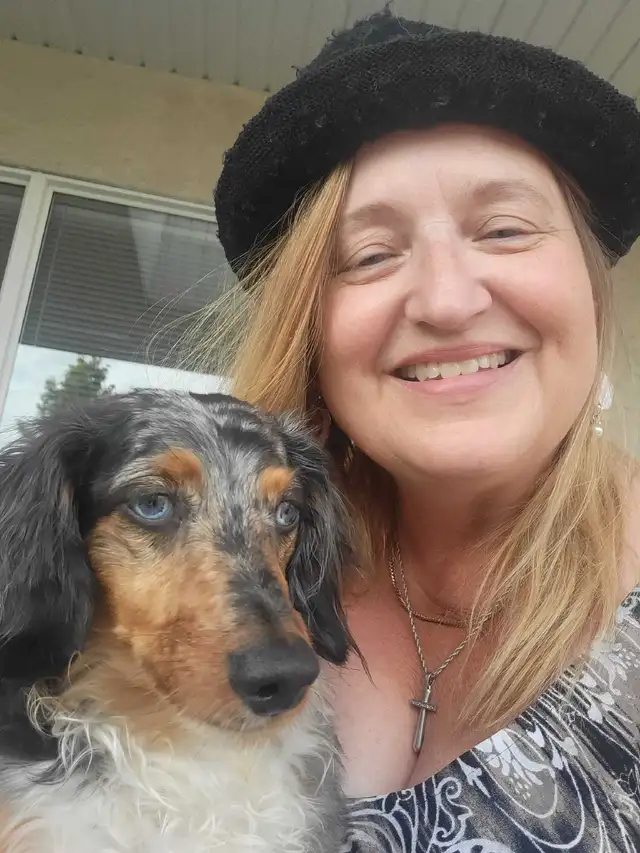 EXPERIENCED DOG BOARDING/DOG DAYCARE/DOG TRAINING - Photo 7