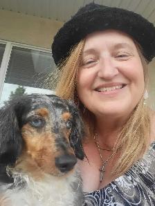 EXPERIENCED DOG BOARDING/DOG DAYCARE/DOG TRAINING - Photo 7