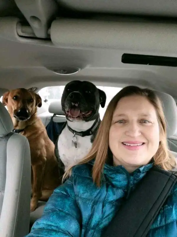 EXPERIENCED DOG BOARDING/DOG DAYCARE/DOG TRAINING - Photo 8