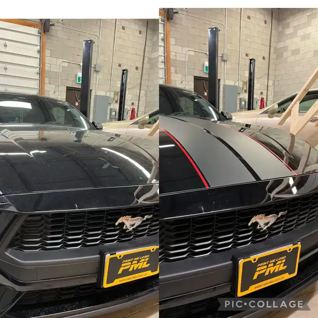 3M Car Decals - Photo 9