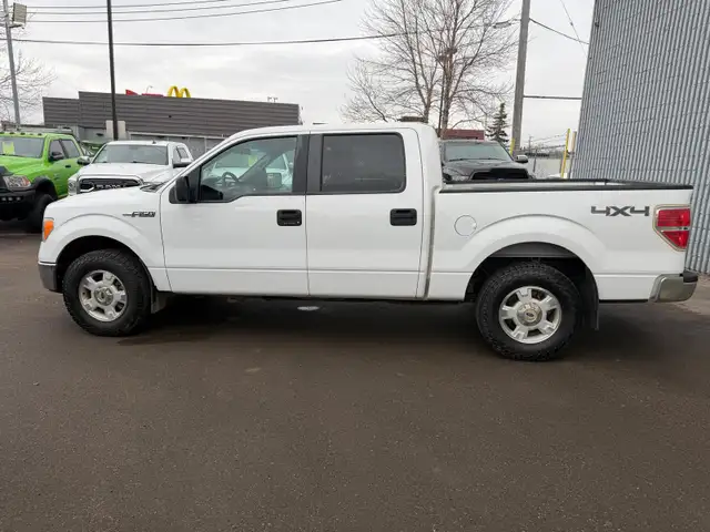 2014 Ford F-150 XLT 4X4 / 82,281 KM ! ONE OWNER NO ACCIDENTS ! - Photo 2