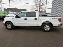 2014 Ford F-150 XLT 4X4 / 82,281 KM ! ONE OWNER NO ACCIDENTS ! - Photo 2