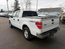2014 Ford F-150 XLT 4X4 / 82,281 KM ! ONE OWNER NO ACCIDENTS ! - Photo 3