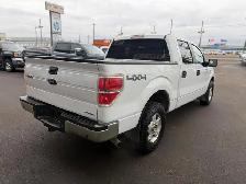 2014 Ford F-150 XLT 4X4 / 82,281 KM ! ONE OWNER NO ACCIDENTS ! - Photo 6