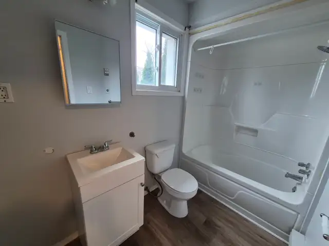 1 Bed 1 Bath Apartment - Photo 10