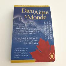 LIVRE NEUF FRANCAIS ADULTE, DIEU AIME LE MONDE 645 PAGES: $5.00