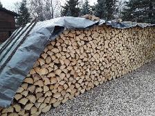 Lac du Bonnet Spruce Firewood for sale