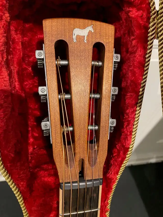 Mule Resonator Guitar w/ Pick-up - Photo 5